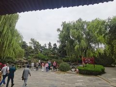 -西安乐游原