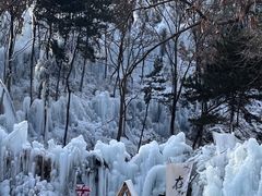 -沂蒙山旅游区云蒙景区(蒙山国家森林公园)