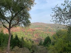 -北京西山国家森林公园