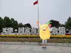 -天津之眼摩天轮