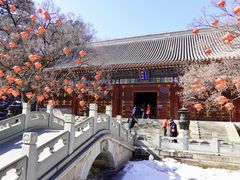 -香山公园