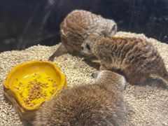 -太平洋海底世界