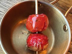 -野人部落(荷兰村店)