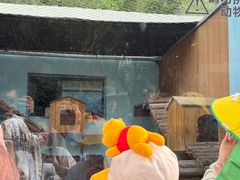 -青藏高原野生动物园