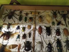 -恋物百货商店(华侨城店)