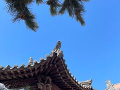 -善化寺