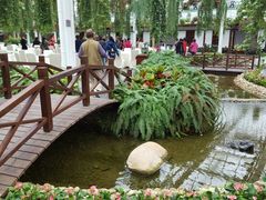 -上海鲜花港