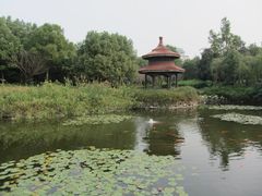-天目湖山水园