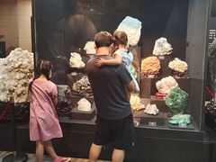 -烟台自然博物馆