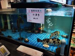水产区-隆喜元鱼汤包·海鲜(中联广场店)