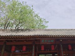 -抱犊寨风景区