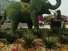-石家庄市植物园
