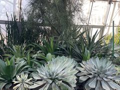 -北京植物园-展览温室