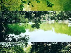 -人民公园(罗湖区)