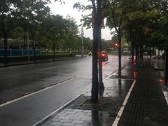 -品粹徽园·家常安徽菜