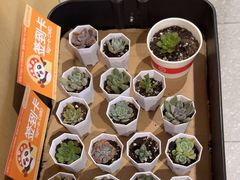-海底捞火锅(宇飞大厦店)