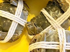 -阳澄湖大闸蟹·琼灵阁牌品牌连锁(吴中总店)