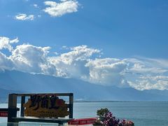 -野菌皇海景野生菌火锅(滨海大道店)