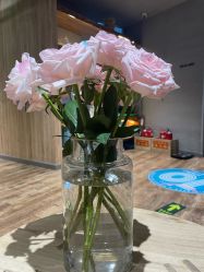 -卡莫瑜伽·普拉提