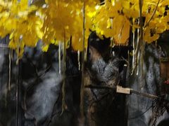 -屋有岛沉浸游戏体验馆(老街店)