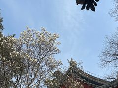 -北京艺术博物馆(万寿寺)