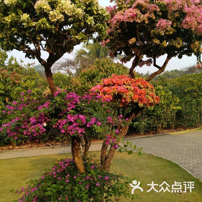 西雙版納熱帶花卉園