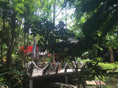 -绿光森林餐厅