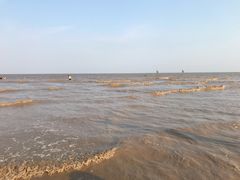 -奉贤海滩