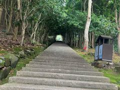 -瑞安圣井山景区