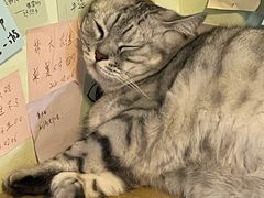 -H立方实景剧情密室(天河旗舰店)
