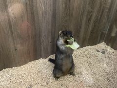 -后院犇牛主题餐厅(云岗店)
