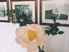 -普陀山雷迪森庄园