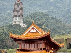 -深圳仙湖植物园