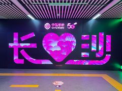 -黑色经典臭豆腐·湖南特产(步行街店)