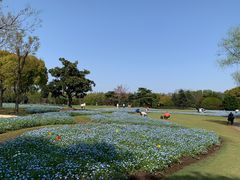 -上海滨江森林公园