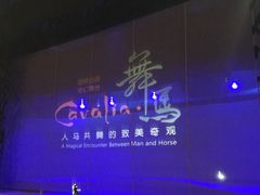 -cavalia·舞马