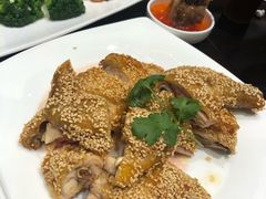 -海天楼(天津泛太平洋店)