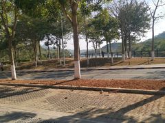 -凤岗南门山森林公园