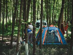 -桤木河湿地公园