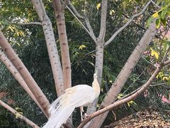 -波塞冬旅游度假区