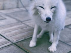 -昆明老街