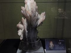 -中华赏石园