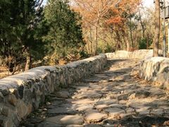 -阳台山自然风景区