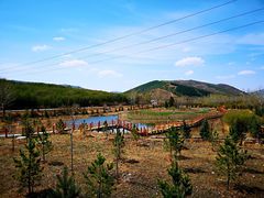 -塞罕坝国家级自然保护区