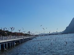 -海埂大坝