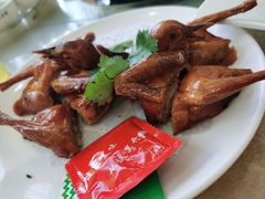 红烧乳鸽-红日饭店(裕隆三路店)