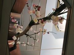 -野妹火锅(龙岗店)
