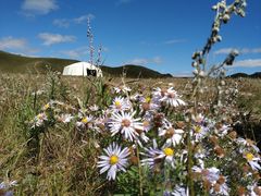 -塞罕坝国家级自然保护区