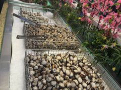 -加尔森烤肉海鲜·火锅烧烤自助