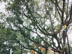 -广州海洋馆